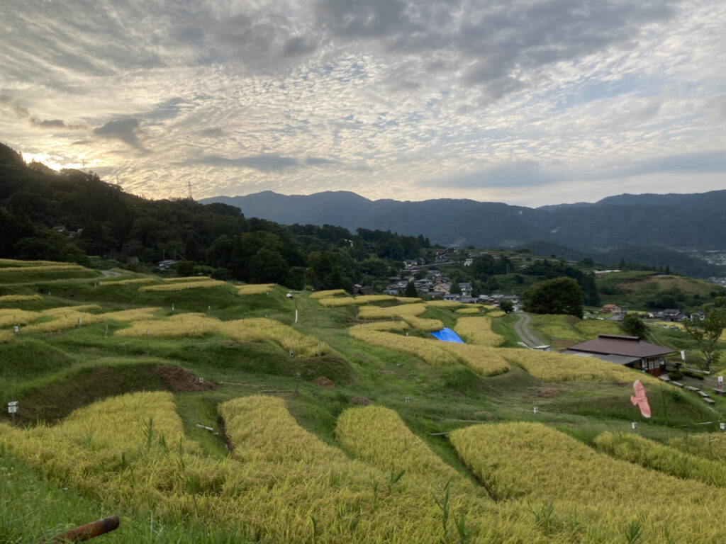 生長の家長野県の棚田